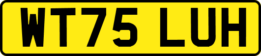 WT75LUH