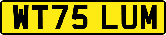 WT75LUM