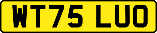 WT75LUO