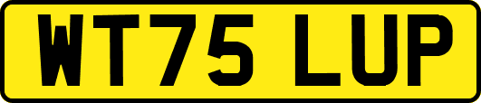WT75LUP