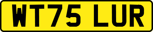 WT75LUR