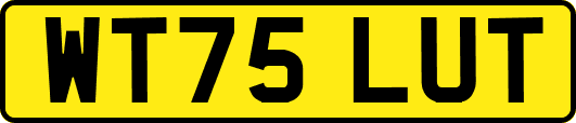 WT75LUT