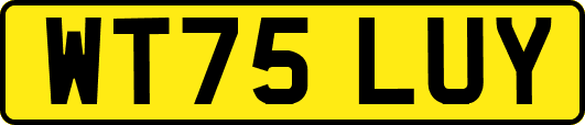 WT75LUY