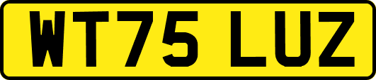 WT75LUZ