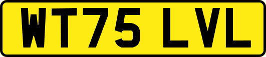 WT75LVL