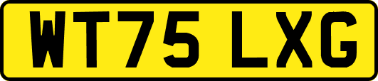 WT75LXG