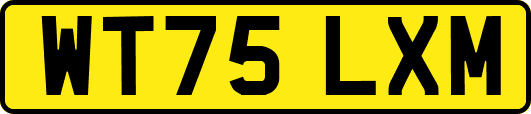 WT75LXM