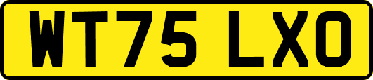 WT75LXO