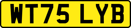 WT75LYB