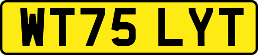 WT75LYT