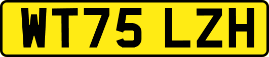 WT75LZH