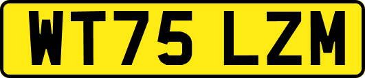 WT75LZM