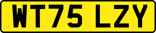 WT75LZY