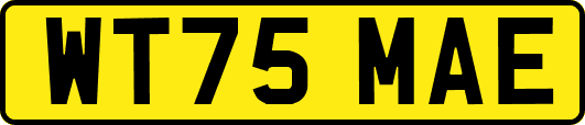 WT75MAE