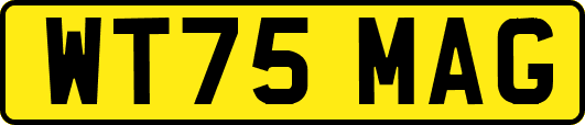 WT75MAG