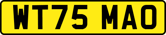 WT75MAO