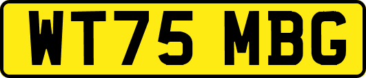 WT75MBG