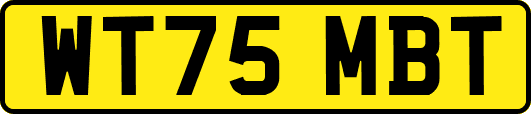 WT75MBT