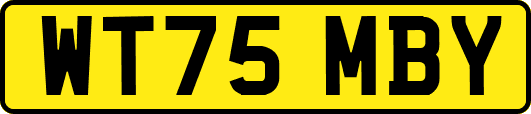 WT75MBY