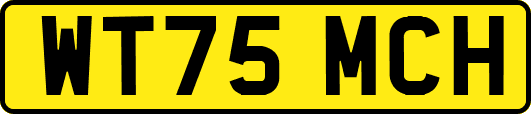 WT75MCH