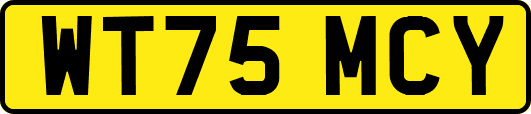 WT75MCY