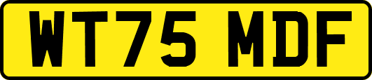 WT75MDF