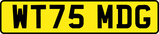 WT75MDG