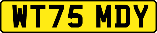 WT75MDY