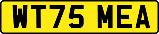 WT75MEA