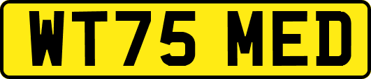 WT75MED