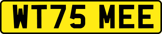WT75MEE