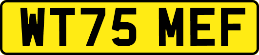 WT75MEF