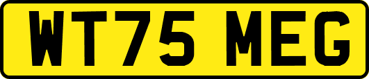 WT75MEG
