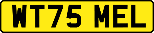 WT75MEL