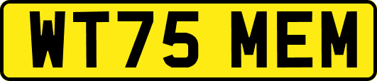 WT75MEM