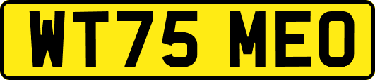 WT75MEO