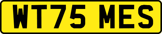 WT75MES