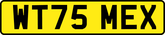 WT75MEX
