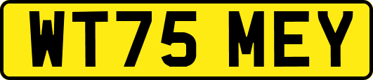 WT75MEY
