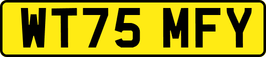 WT75MFY