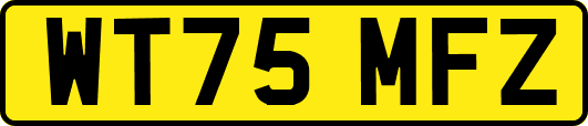 WT75MFZ