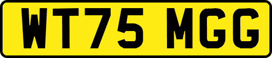 WT75MGG