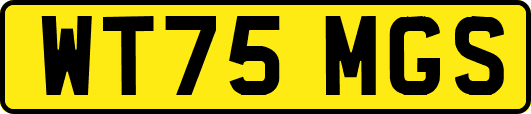 WT75MGS