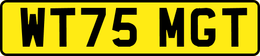 WT75MGT