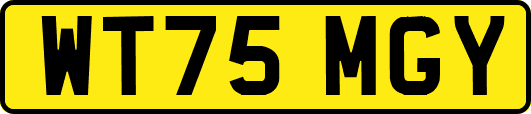 WT75MGY