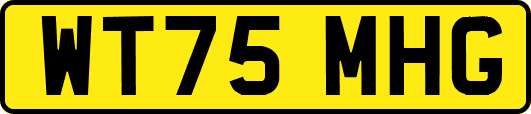 WT75MHG