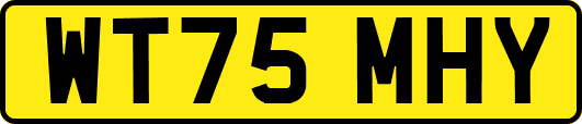 WT75MHY