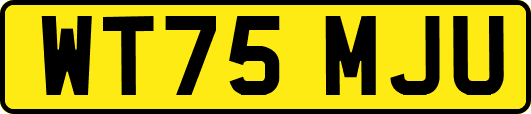 WT75MJU