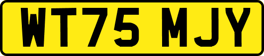 WT75MJY