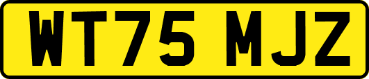 WT75MJZ
